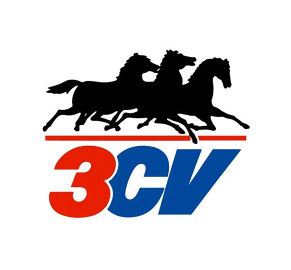 Descubre y compra online la gama completa de productos 3CV en Europacoche.com. Limpieza automotriz, aditivos, ambientadores y más para el cuidado integral de tu coche.