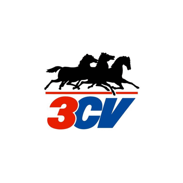 Descubre y coåmpra online la gama completa de productos 3CV en Europacoche.com. Limpieza automotriz, aditivos, ambientadores y más para el cuidado integral de tu coche.